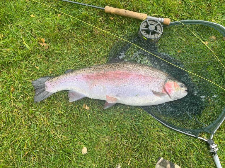 Glen Of Rothes Trout Fishery