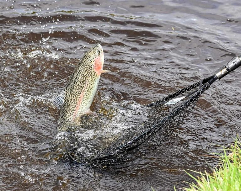 Glen Of Rothes Trout Fishery